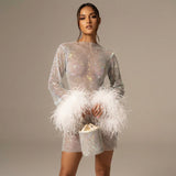 Sequin Feather Mini Dress with Long Sleeves and Sheer Detail